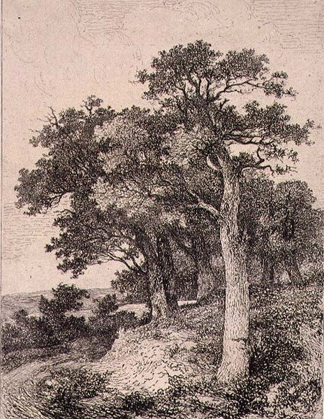 På Colney, pub. av J. & W. Freeman av John Crome