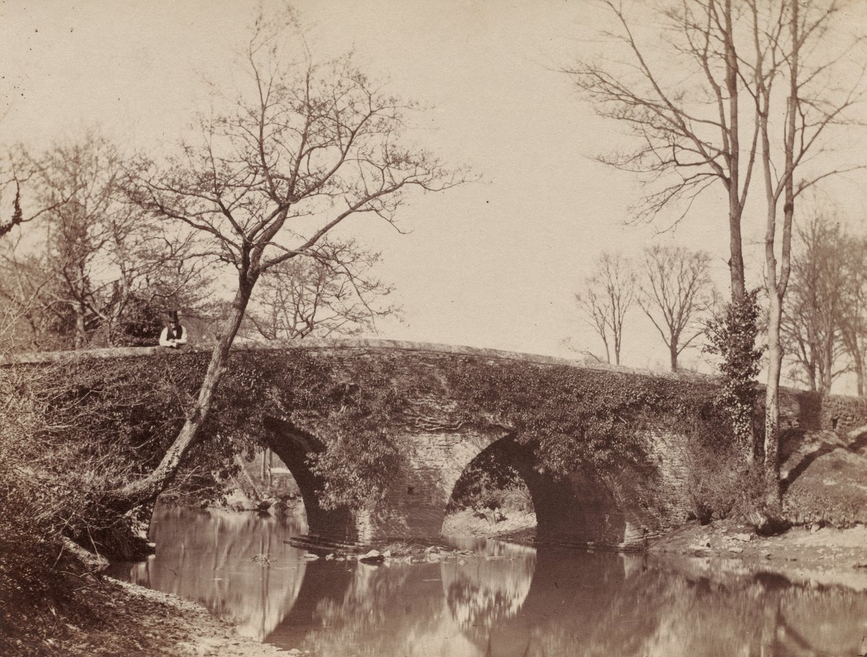 The Country Bridge (Staplylton Bridge, Bristol) av John Dillwyn Llewelyn