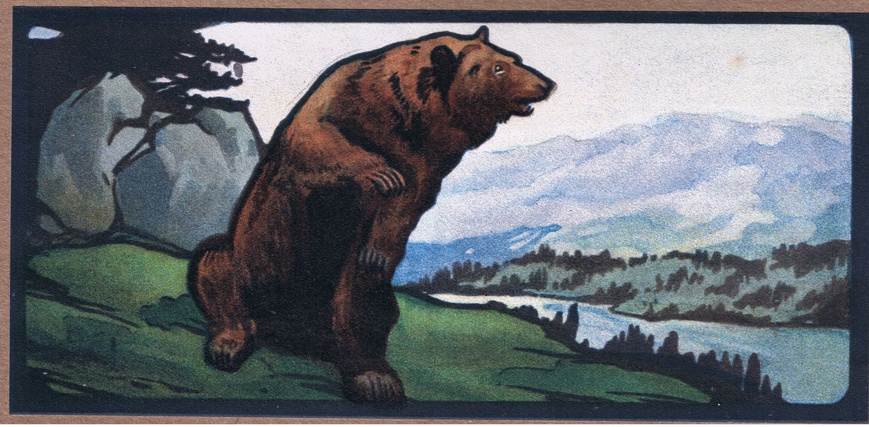 Brun björn av John Edwin Noble