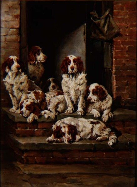 Spaniels galoreswed av John Emms
