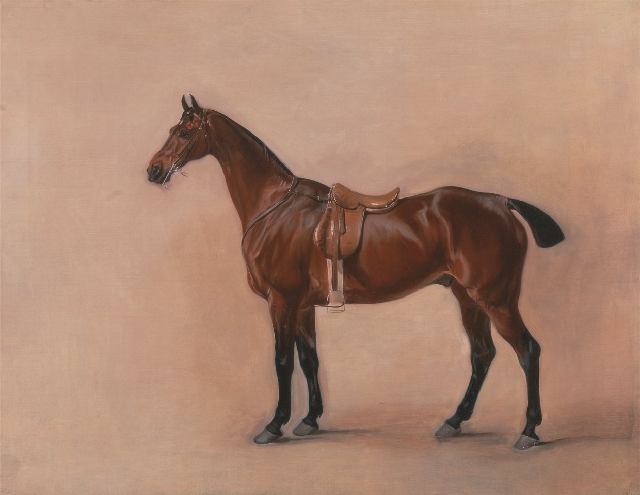 Studie av en Saddled Bay Hunter av John Ferneley
