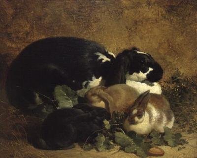 Kaniner av John Frederick Herring Senior