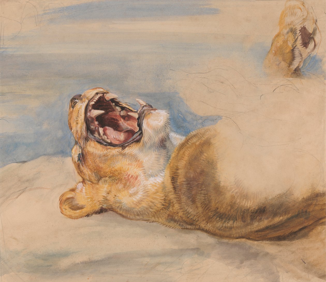 Studie av en lejoninna av John Frederick Lewis