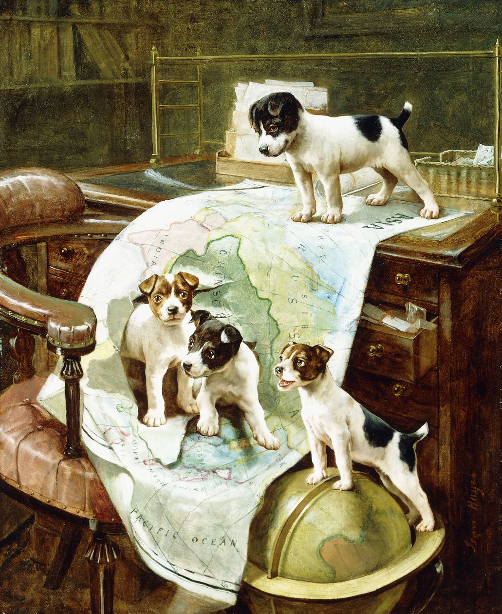 Välresta Jack Russell-valpar av John Hayes