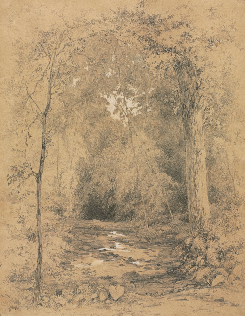 Skogsinteriör, ca. 1870. av John Henry Hill