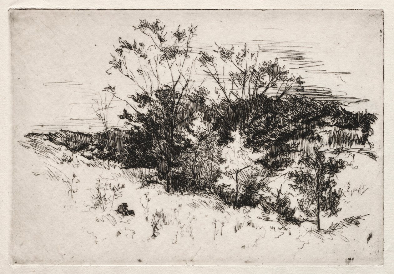 Höstlandskap, 1879-80. av John Henry Twachtman