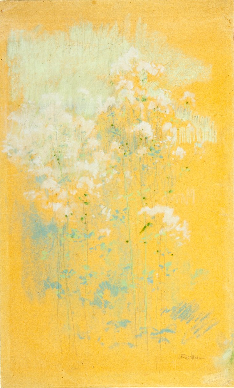 Vilda blommor av John Henry Twachtman