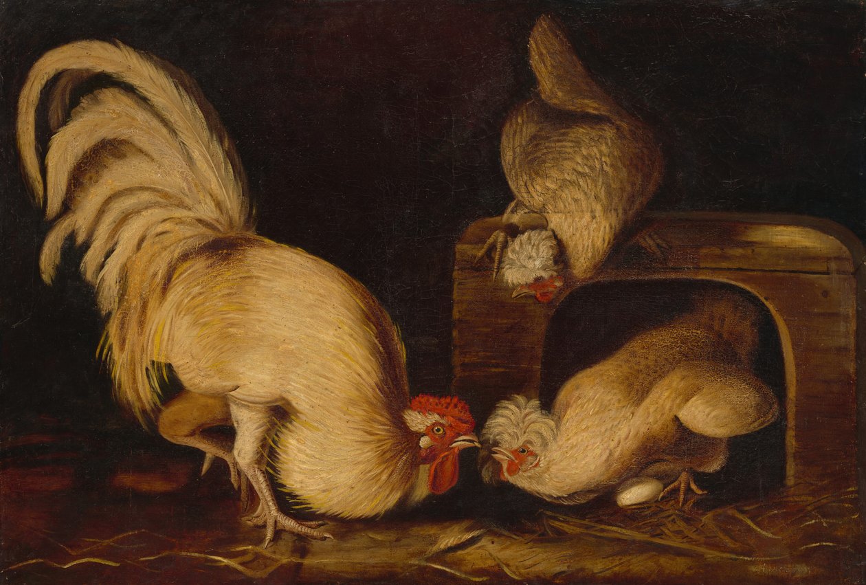 Gårdshöns av John James Audubon