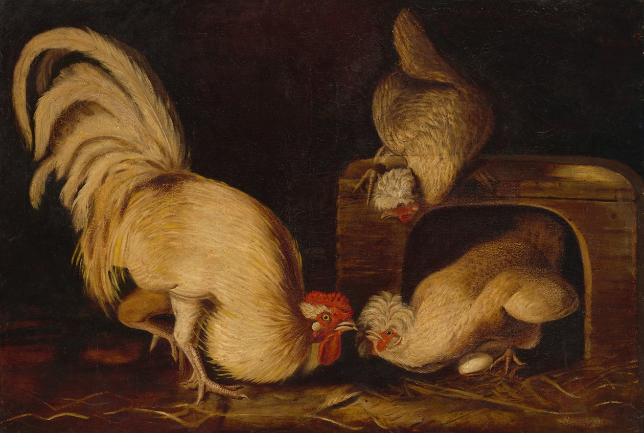 Gårdshöns, ca. 1827. av John James Audubon