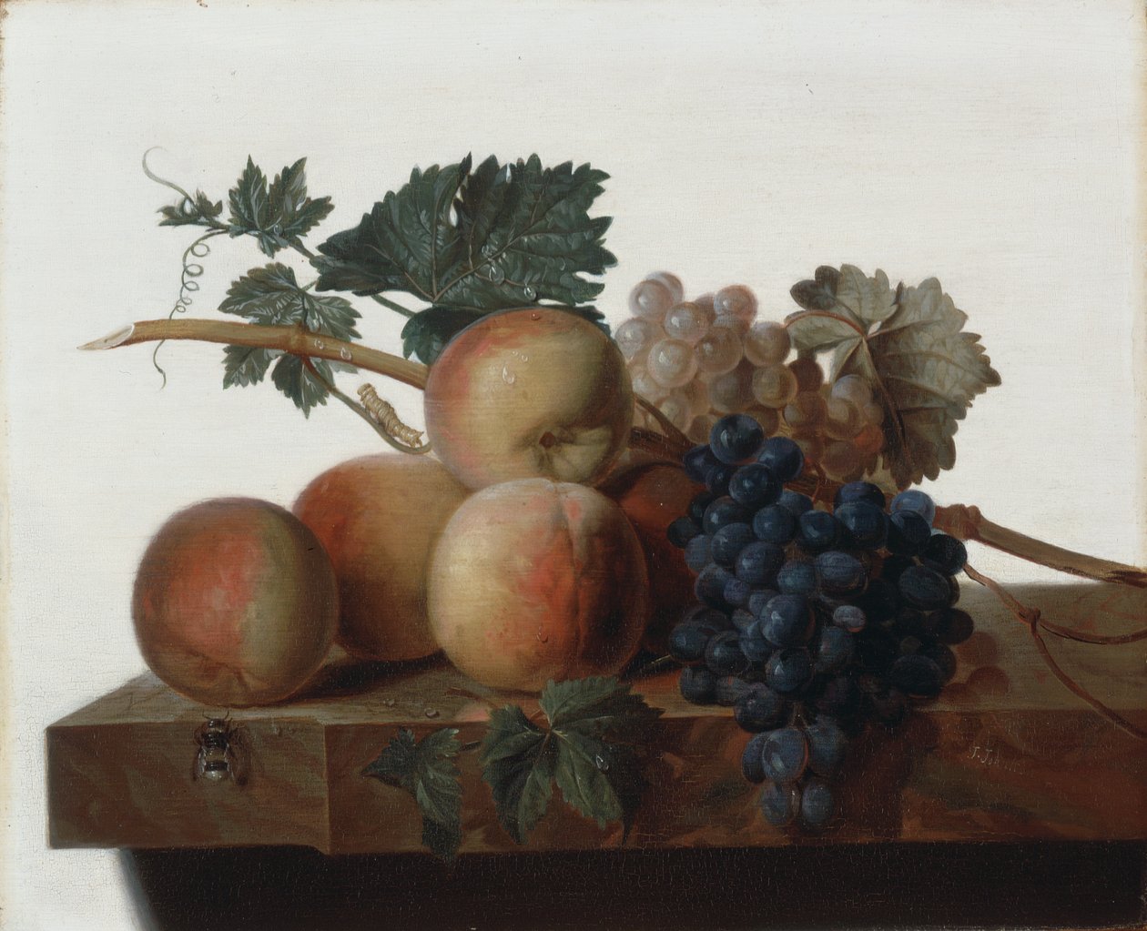 Stilleben av John Johnston