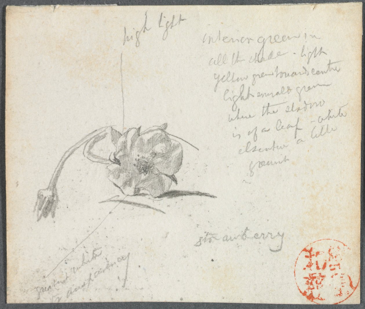 Jordgubbsblomma av John La Farge