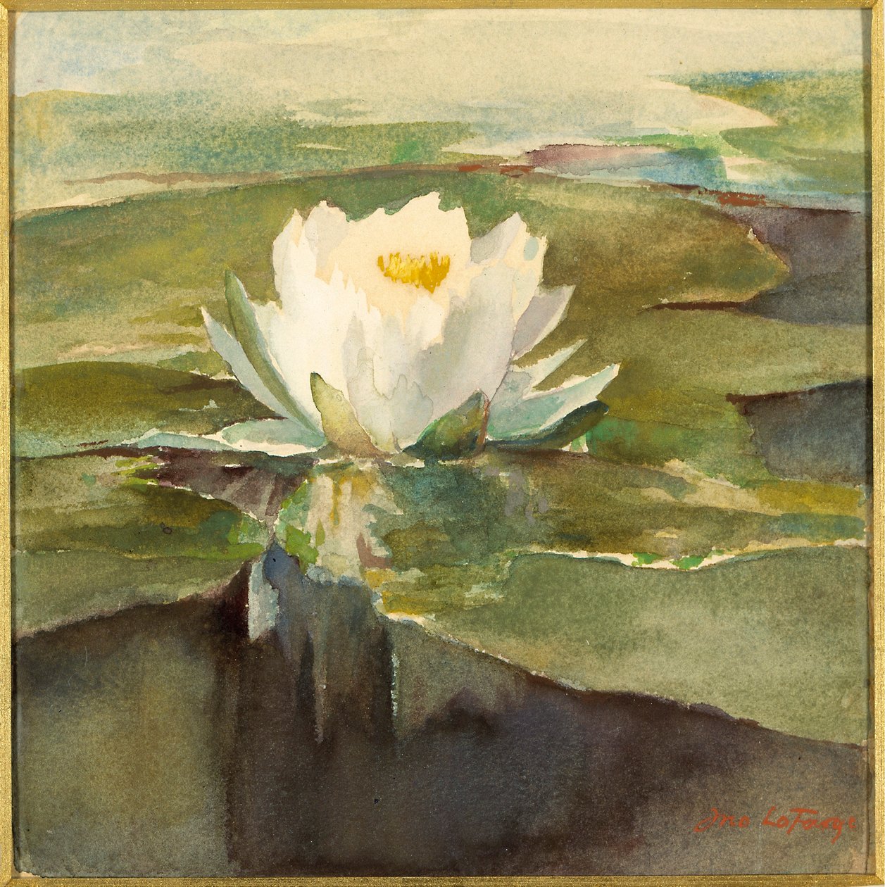 Näckros i solljus av John La Farge