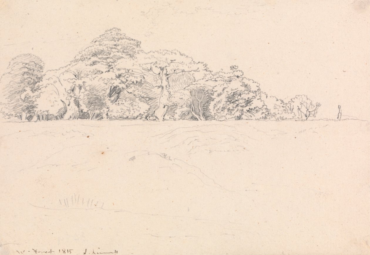 Windsor Forest av John Linnell