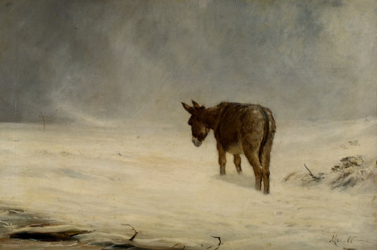 En åsna i snö av John MacWhirter