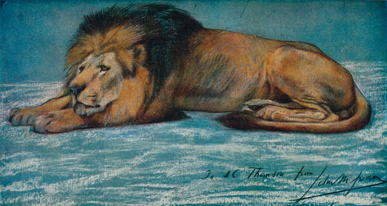 Pastellstudie av ett lejon, c1900 av John Macallan Swan