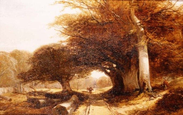 Skogslandskap av John Middleton
