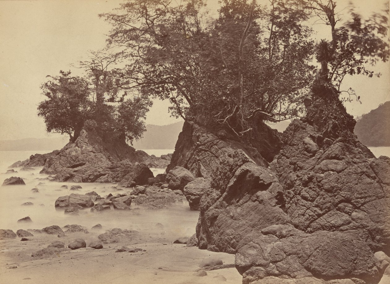 Öar, Limon Bay,1871 (foto) av John Moran