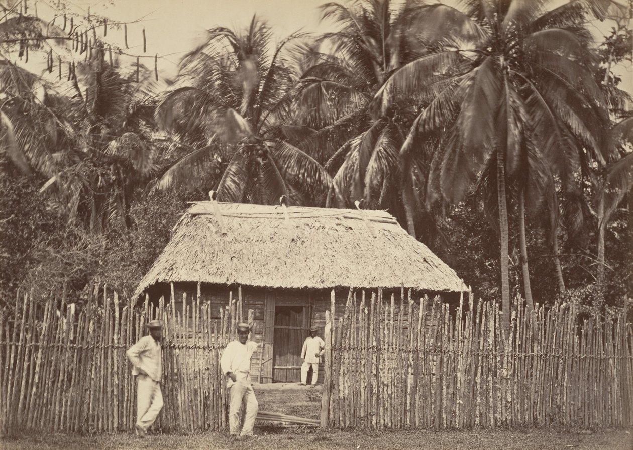 Tropiskt landskap, Native Hut, Turbo, 1871. av John Moran