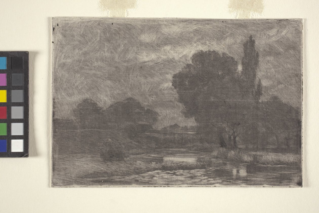 Marshy Landscape (etsning och monoprint) av John Otis Adams