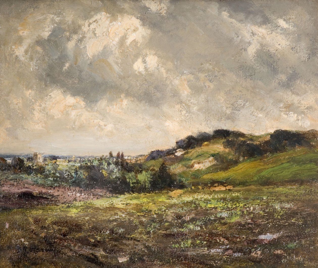 Vindpinade kullar, 1880-1930. av John Rabone Harvey