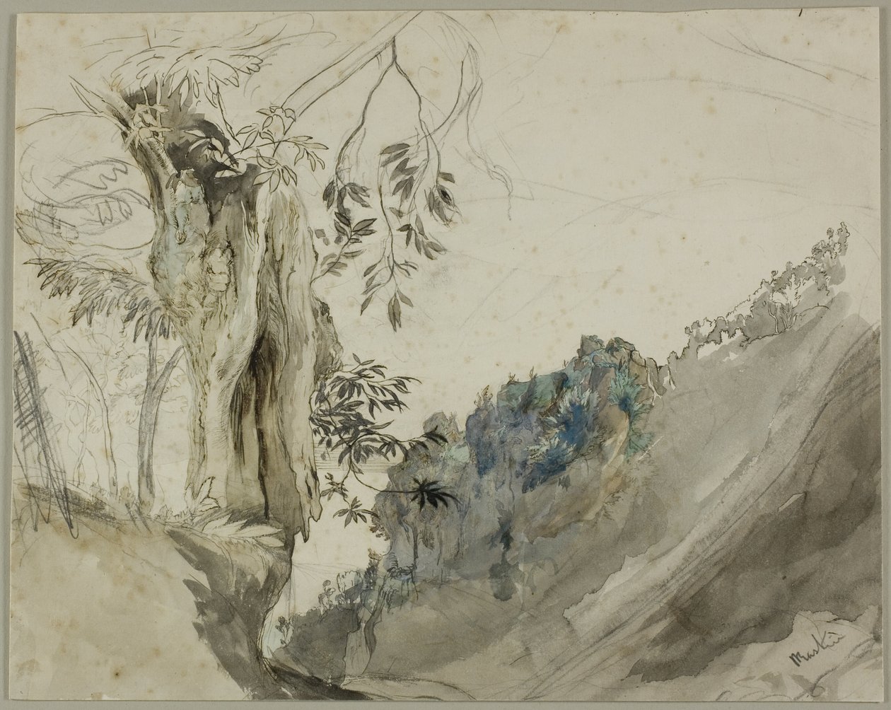 Spansk kastanj av John Ruskin