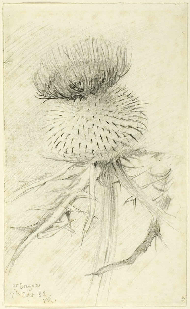 St Cergues av John Ruskin