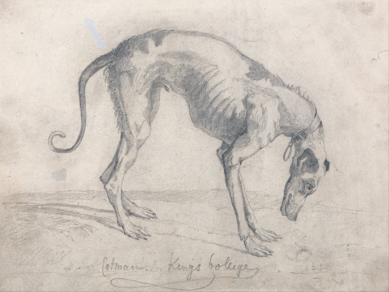 En utsvulten vinthund av John Sell Cotman