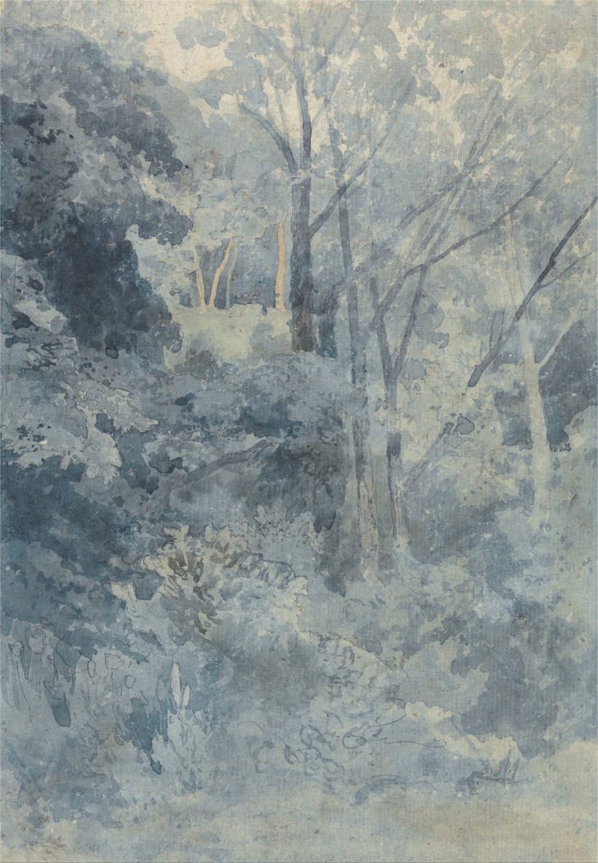 I Rokeby Park av John Sell Cotman