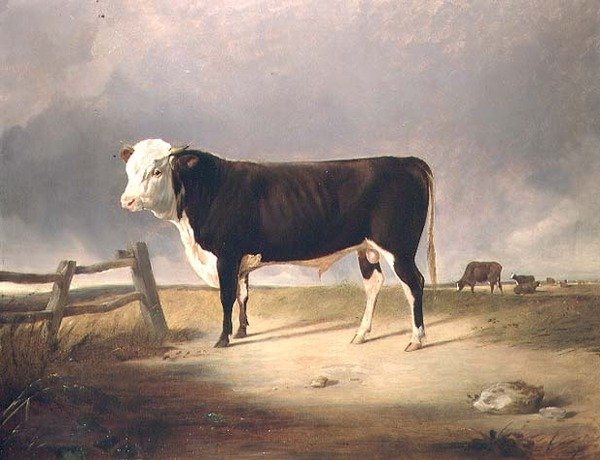 Kanslern av John Sheriff
