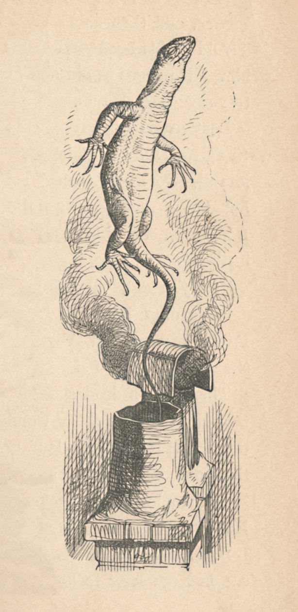 Ödlan, 1889 av John Tenniel