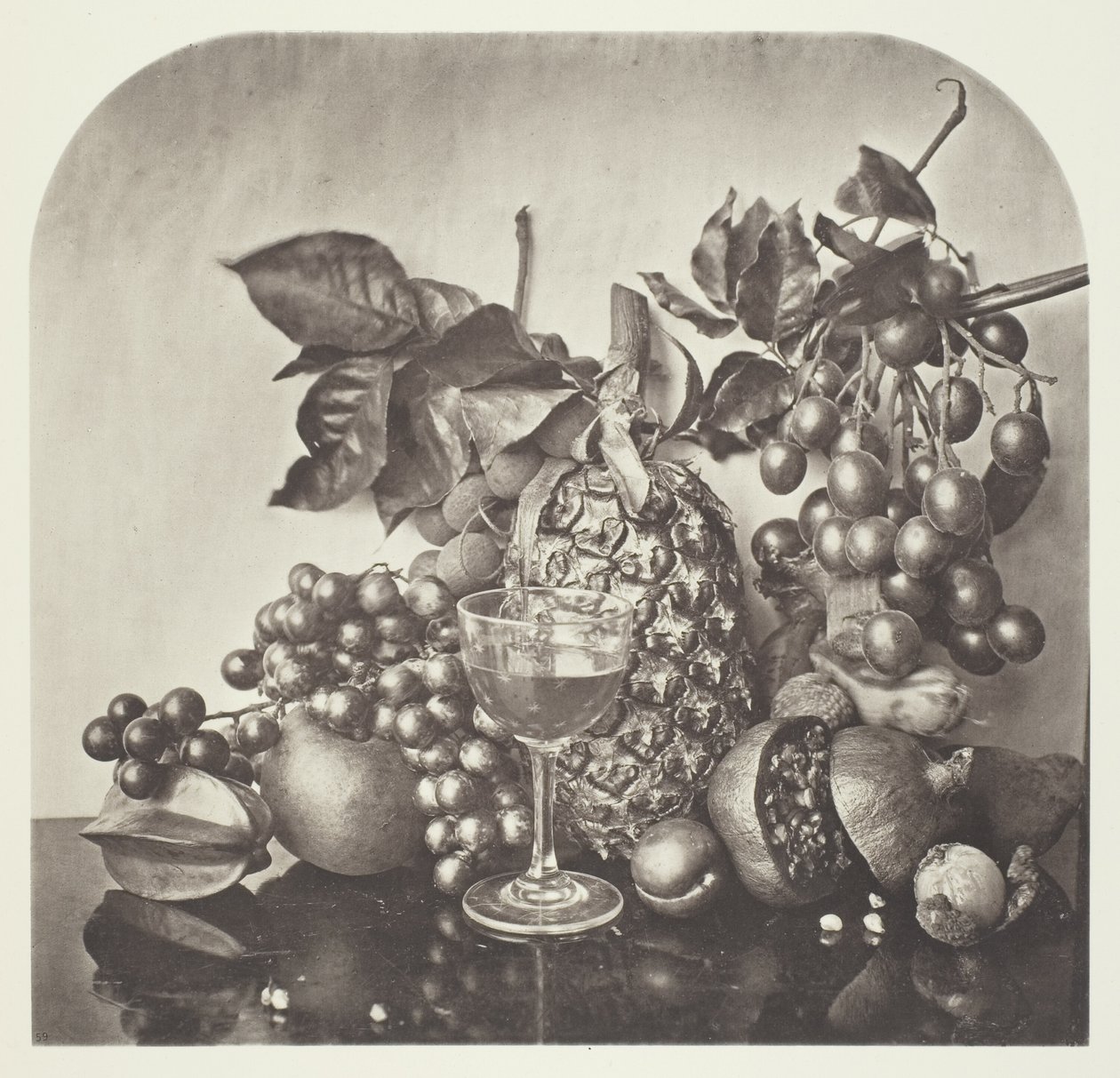 Frukt av John Thomson