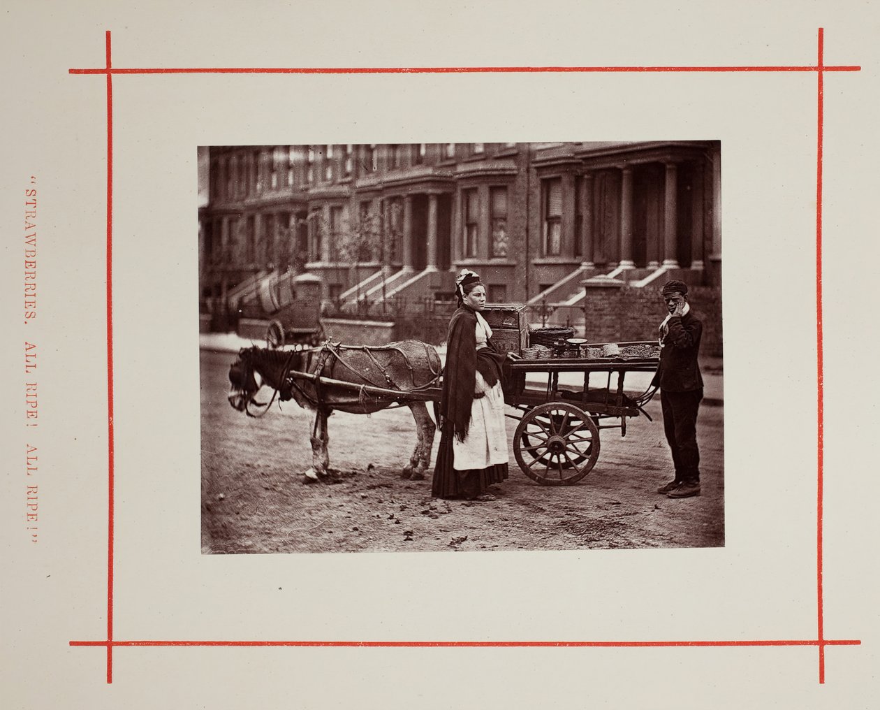 Jordgubbar. Alla mogna! Alla mogna!, 1877. av John Thomson