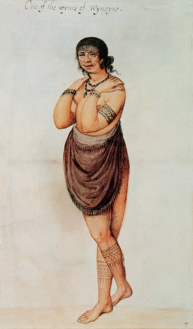 Indisk kvinna (färg litho) av John White