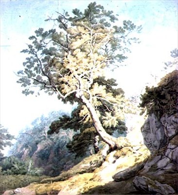 Utsikt nära Canonteign, Devon av John White Abbott