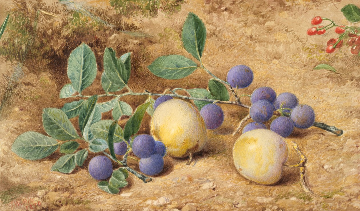 Plommon, 1870. av John William Hill
