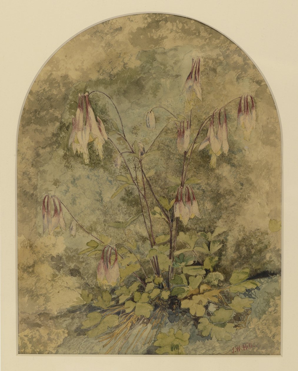 Vildblommor (wc på papper) av John William Hill