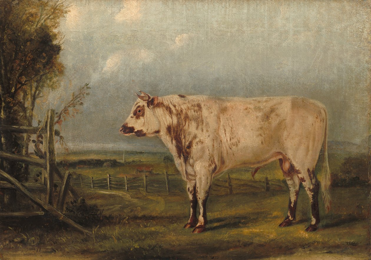 swedish av John Woodhouse Audubon