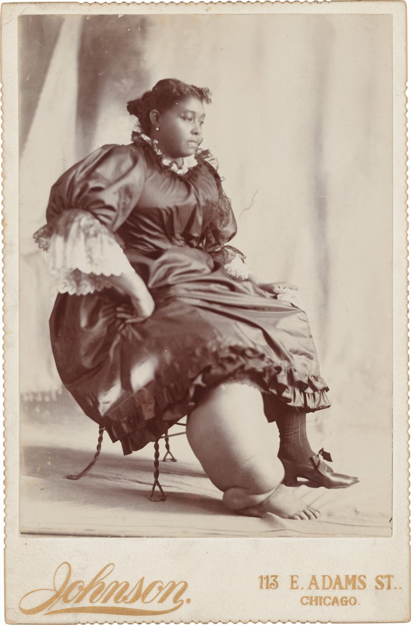 Porträtt av en kvinna,ca. 1890 (foto) av Johnson