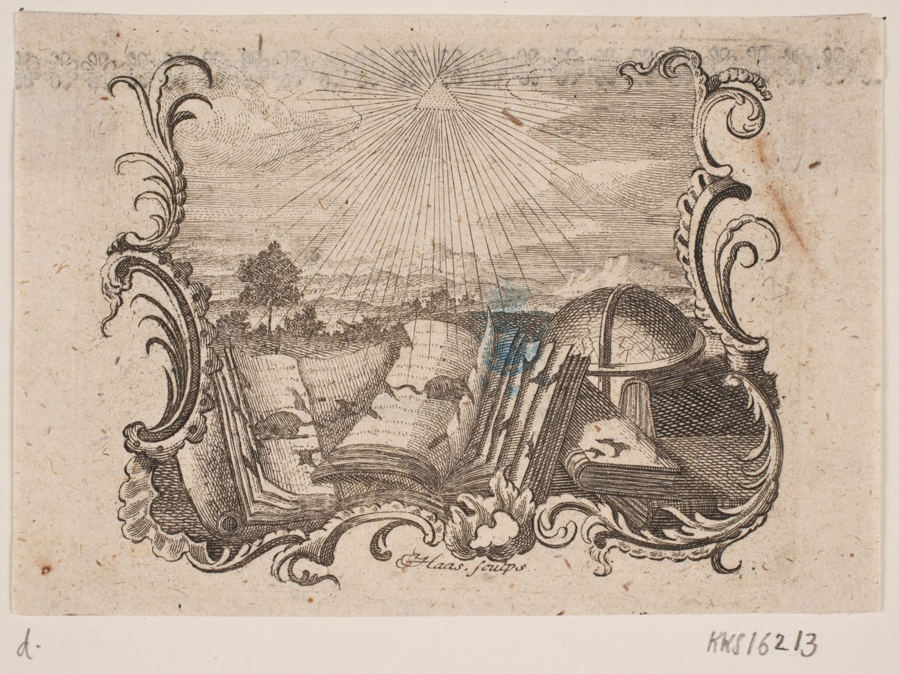 Vineyard "Juridical College" av Jonas Haas