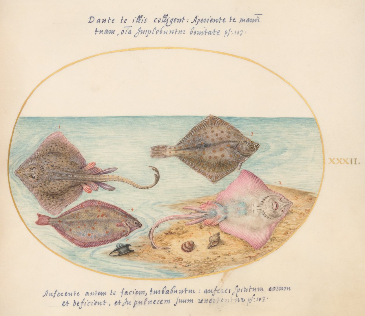Joris van Gogh, Animals of Aqvatilia and Cochiliata (Aqva) - tallrik 32 av Joris Hoefnagel