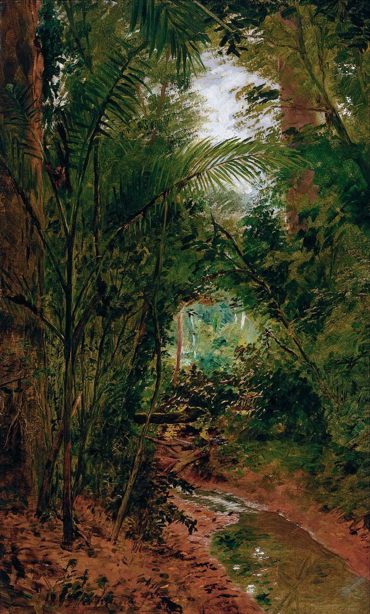 Landscape at the Rio das Pedras  av Jose Ferraz Almeida de Junior