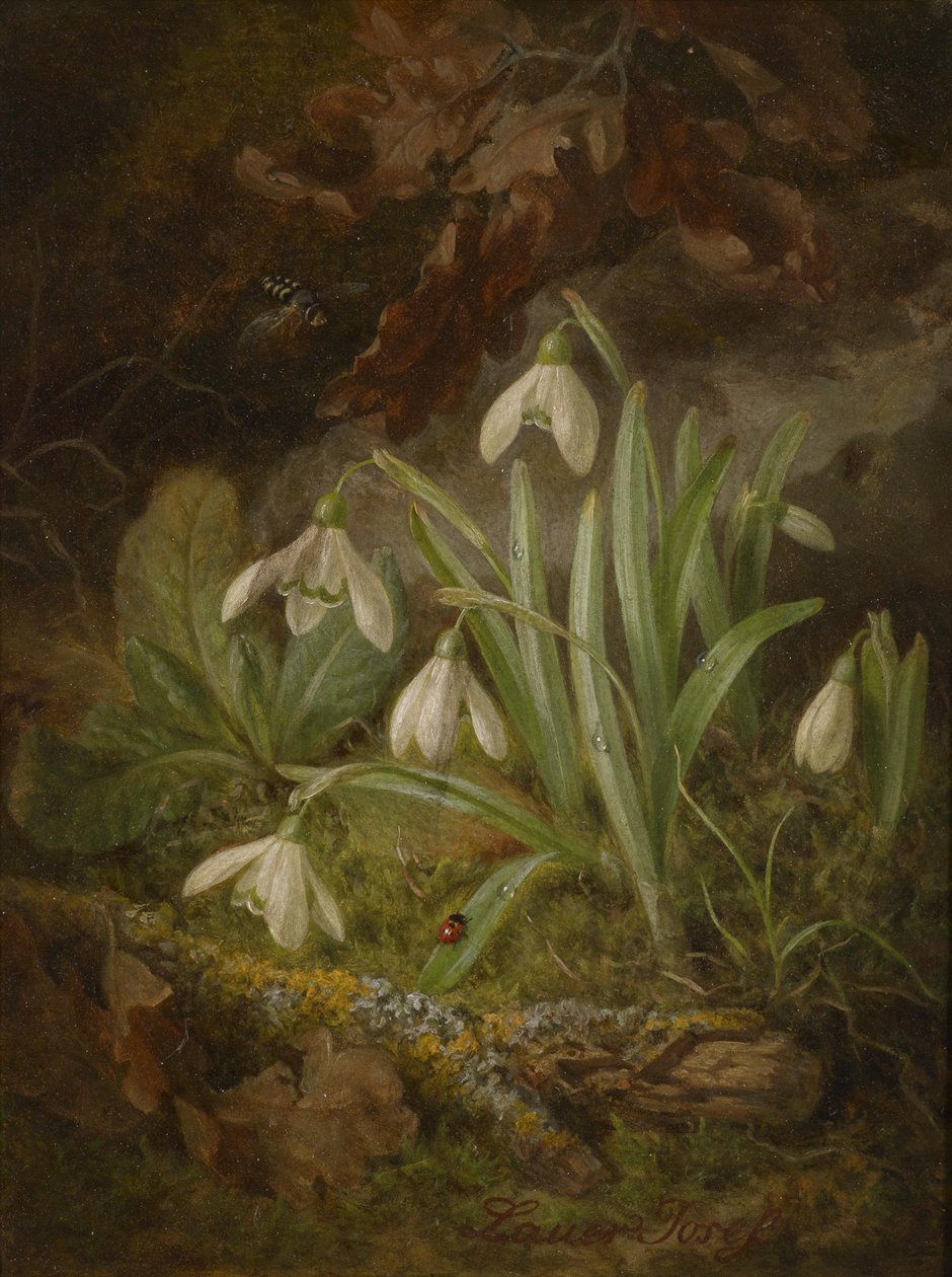 Waldbodenstück mit Schneeglöckchen av Josef Lauer