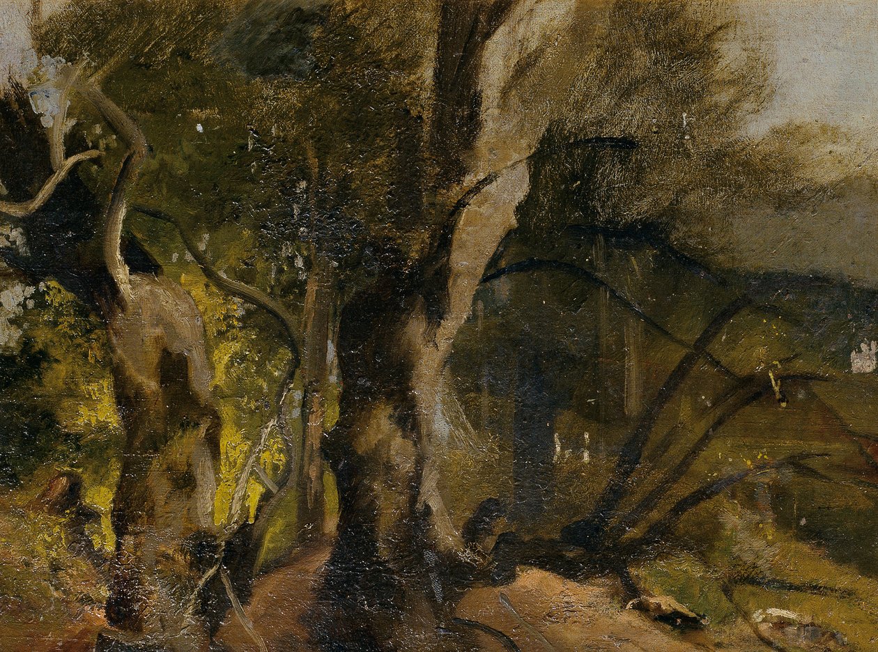 Waldstudie av Josef Navrátil