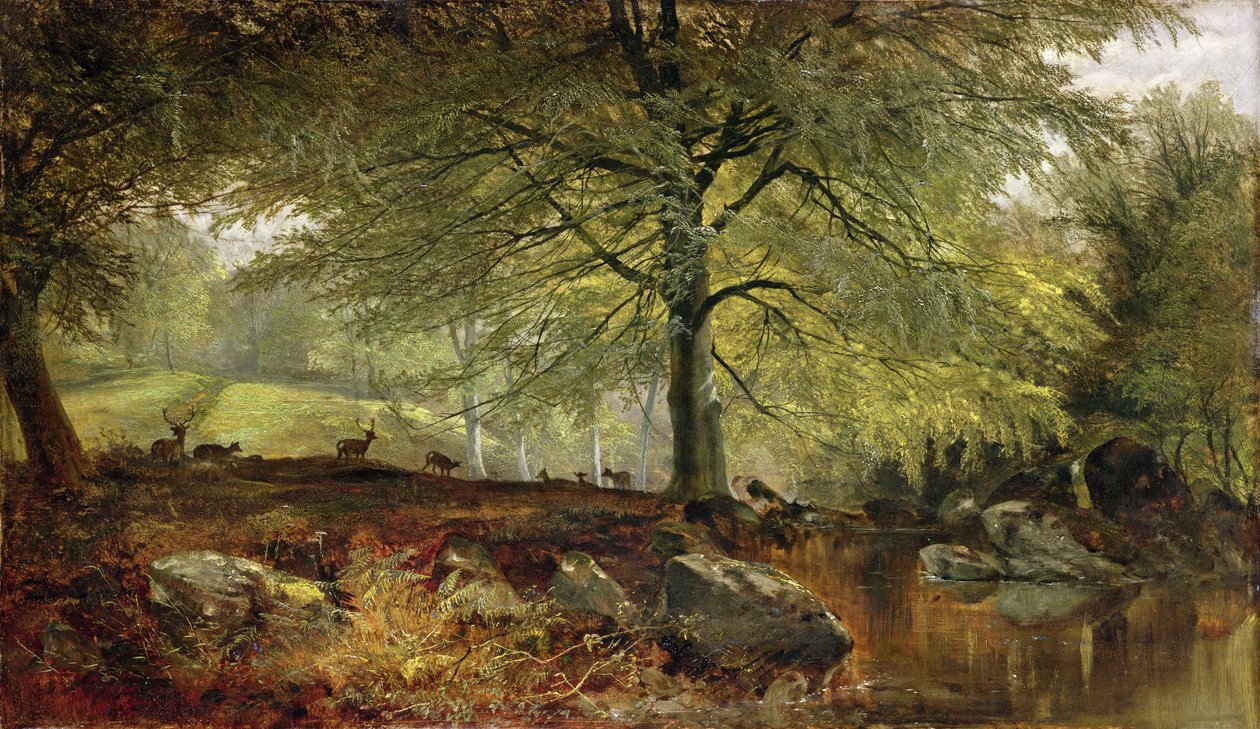 Rådjur i skogen av Joseph Denovan Adam