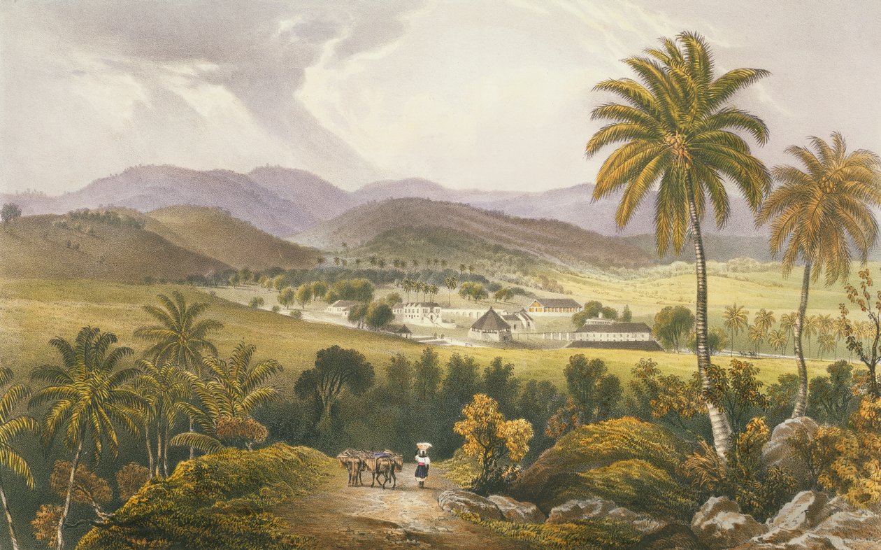 Pensionering Estate, St. James