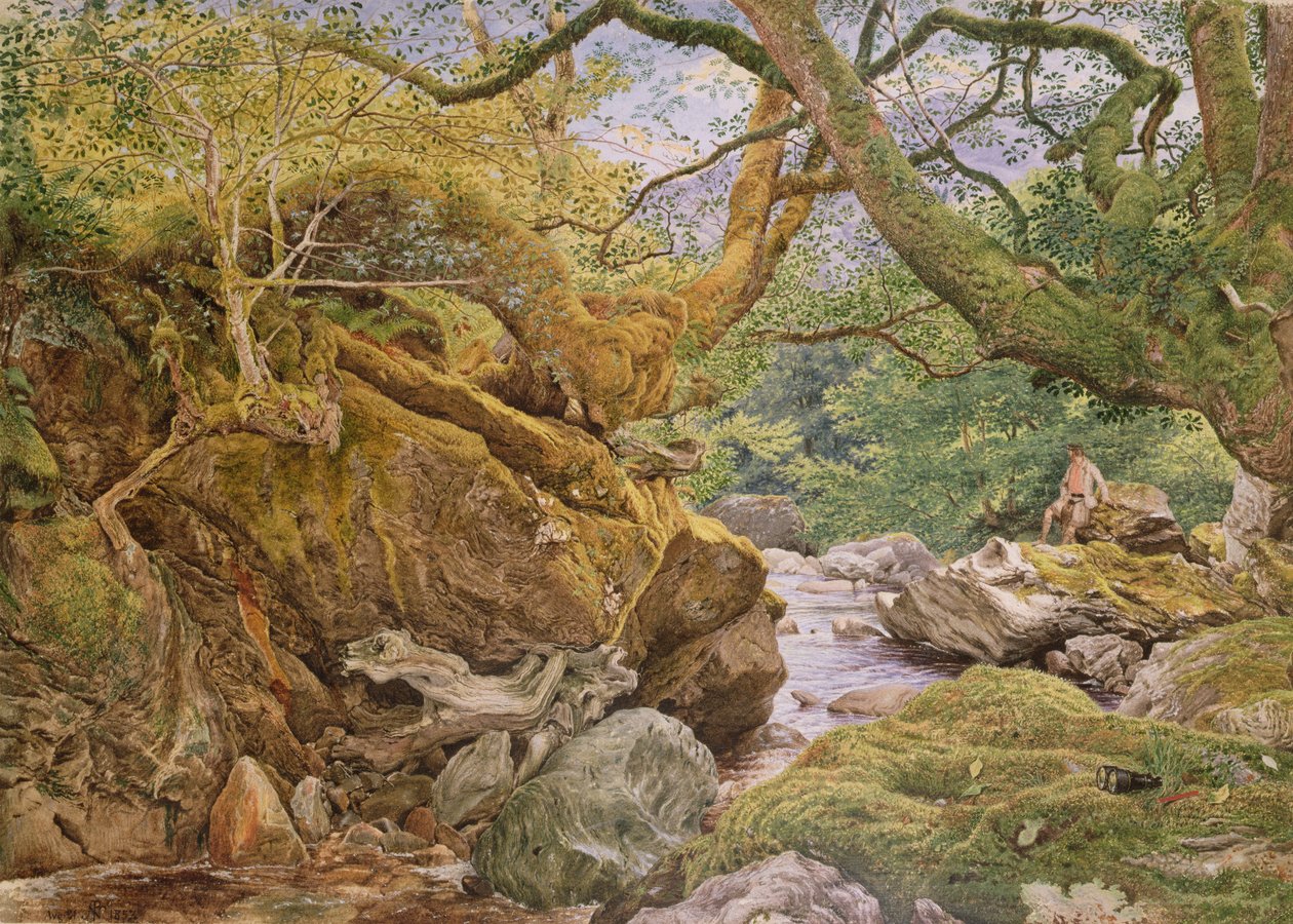 Studie från Nature: Inveruglas, 1857 av Joseph Noel Paton
