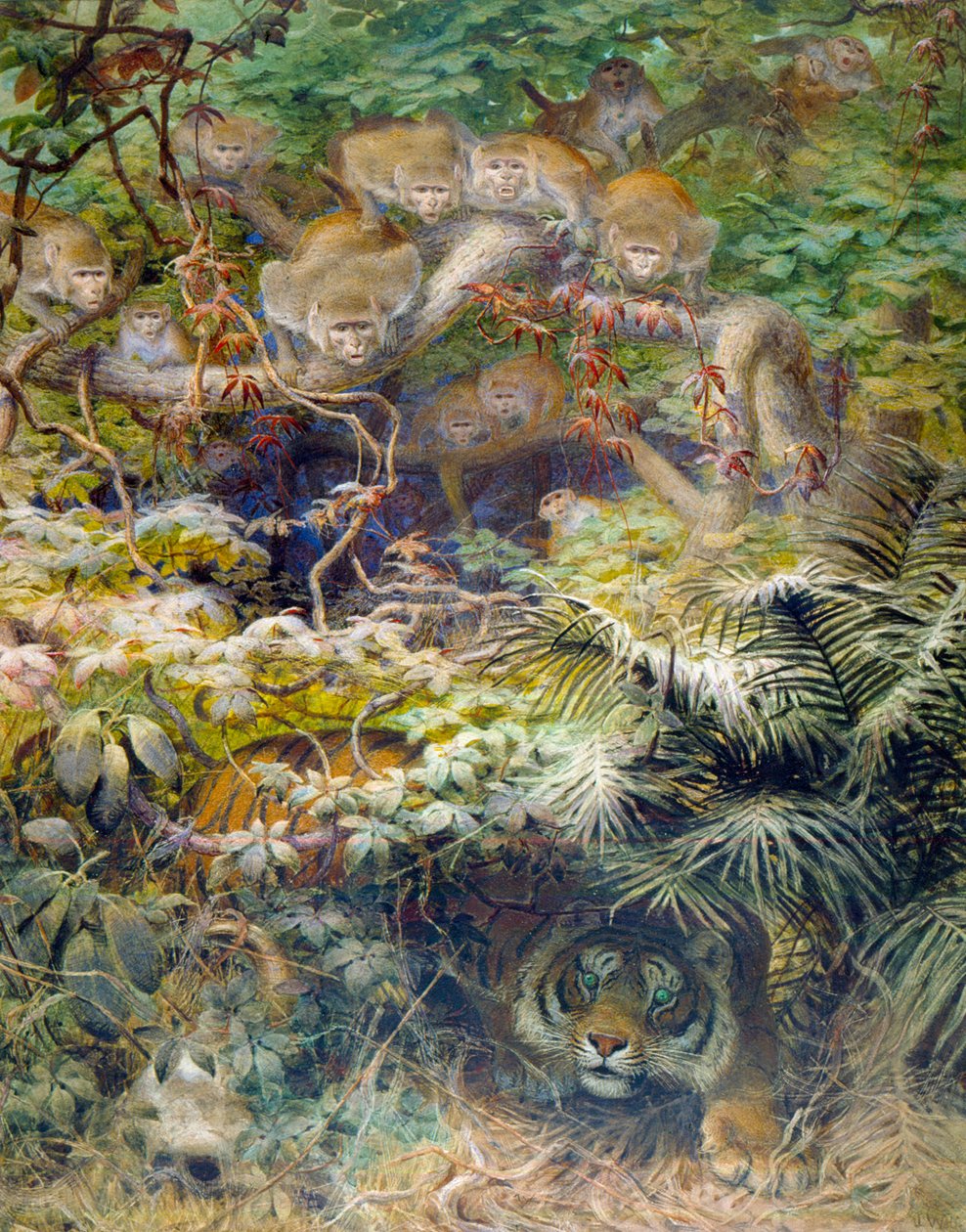 Rada i djungeln, 1863 av Joseph Wolf