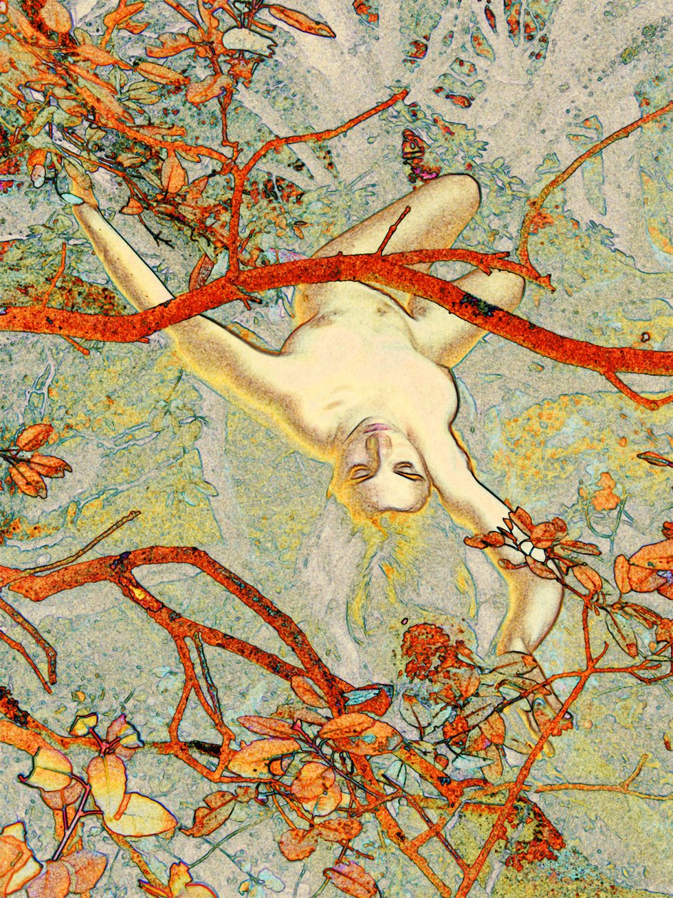 Alice i Cevennerna 2 av Joseph Angilella Auquier