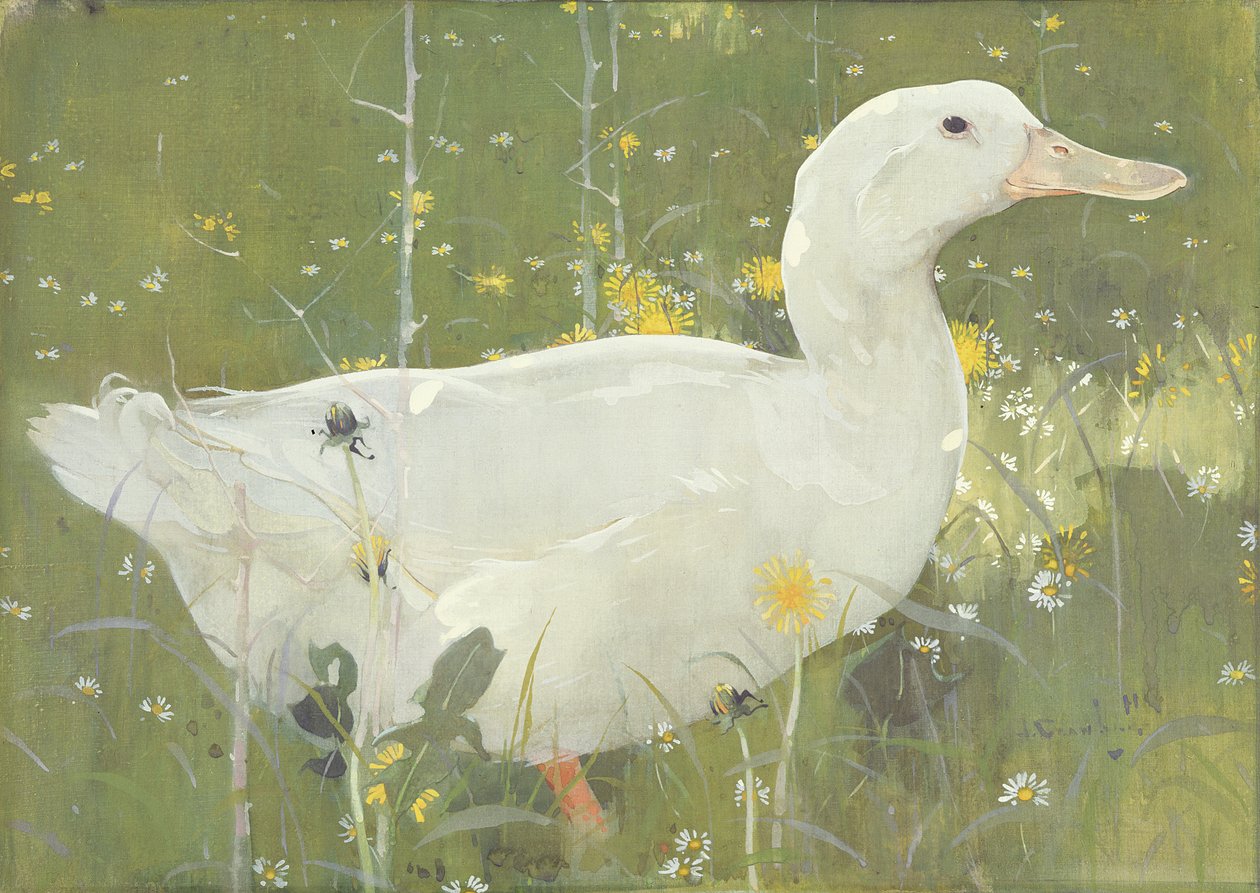 The White Drake (gouache på duk) av Joseph Crawhall