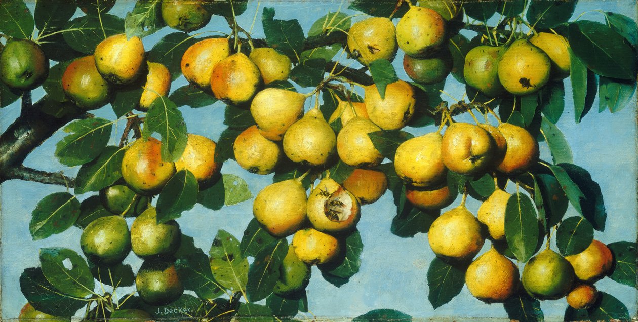 Mognar päron av Joseph Decker